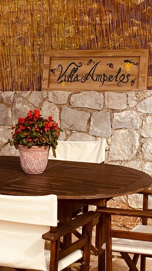 Ampelos Cretan Villa - Private Pool & Heated Ozone Jacuzzi Yerolákkos Екстериор снимка